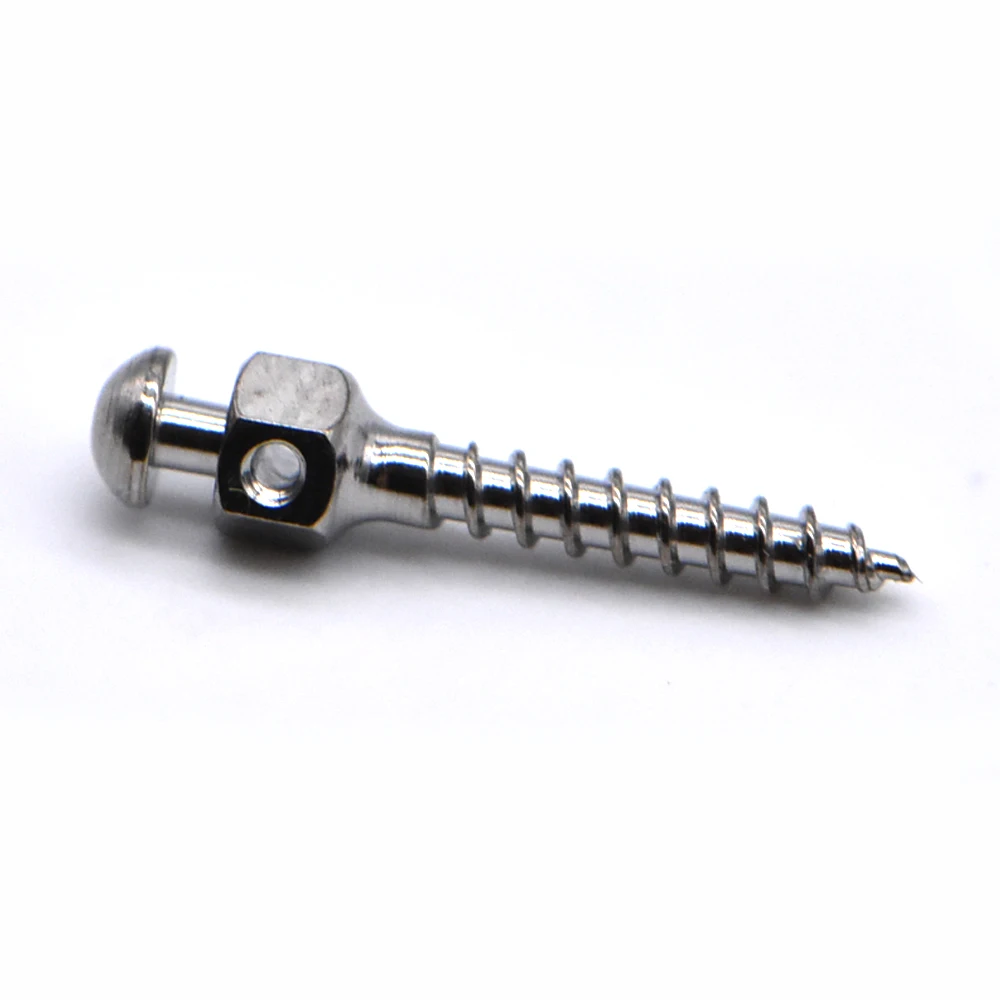 1 Set Screwdriver +10pcs Mini Screws Dental Orthodontic Screw Driver Micro Screw Driver Handle For Self Drilling Tool