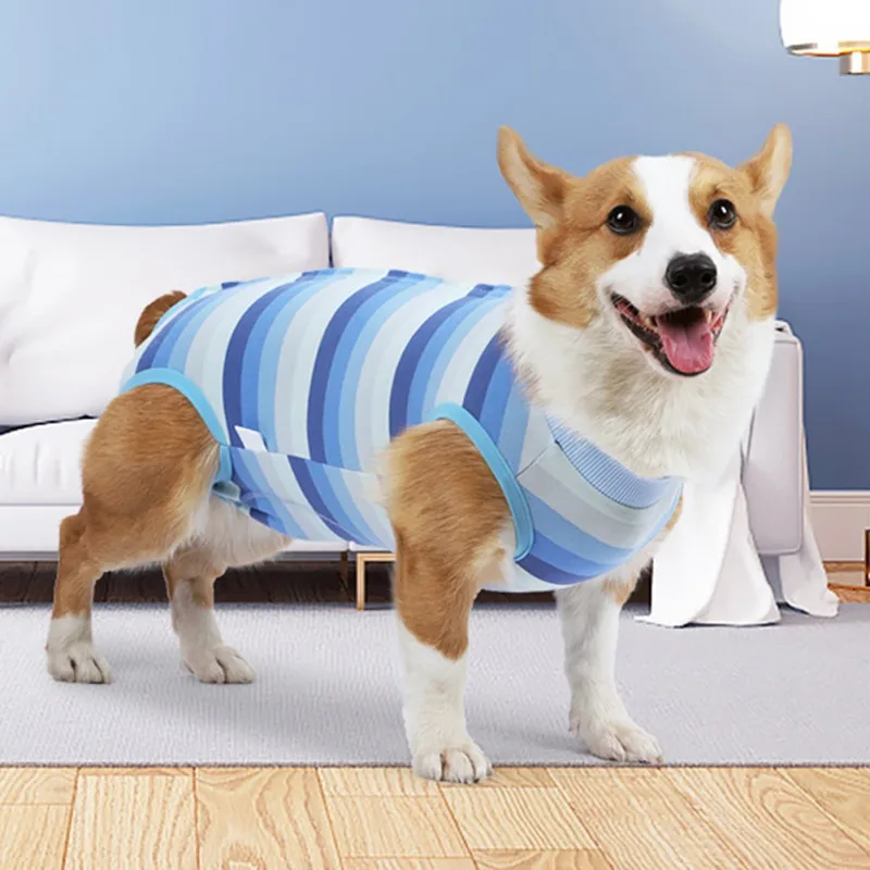 

Dogs Four-legged Jumpsuit Maintain Clothes Operation Recovery Suit Anti Licking Wounds After Surgery Surgery Suit Pet Products