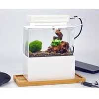 desktop marine aquaponic aquarium fishes bowl mini betta fish tank with water fliter led light usb air pump portable decorations