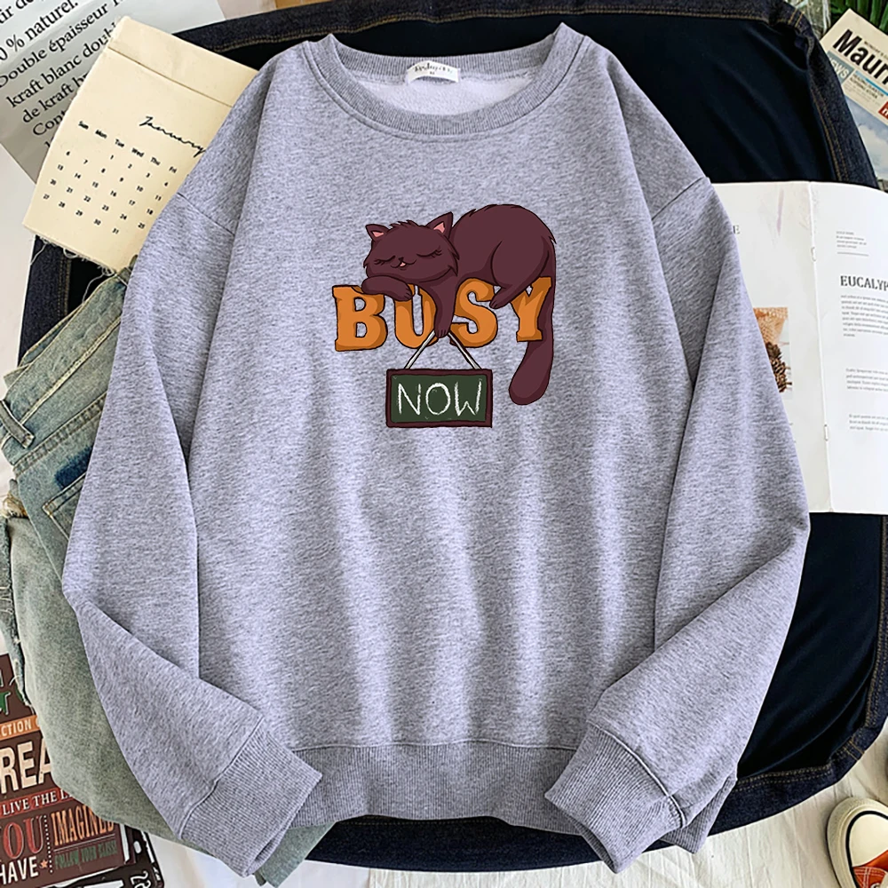 

Толстовка с капюшоном Little Fat Cat, с принтом в последнее время, удобная повседневная одежда, теплая брендовая мужская толстовка, мужские толсто...