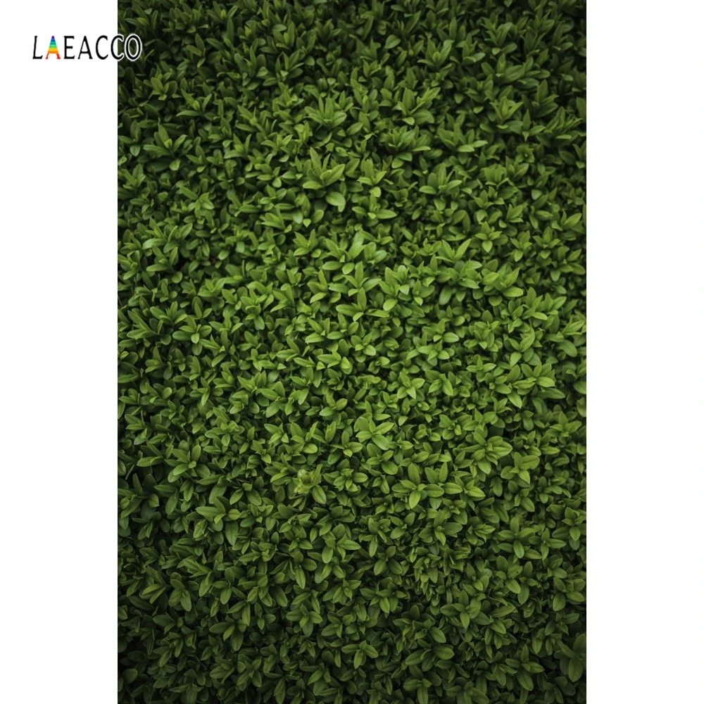 Laeacco Природный зеленый цвет трава фоны фотография Свадьба портрет День Рождения