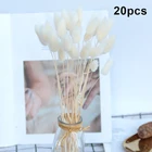 Натуральные сушеные цветы для украшения дома, длинные пучки зайцехвостника, 20 шт.