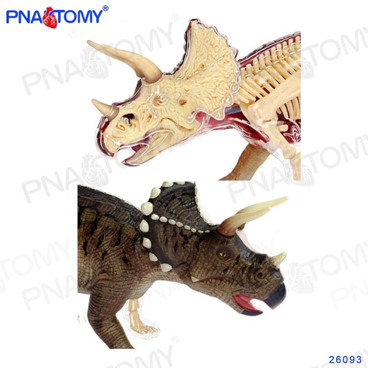 

4D Dinosaur Toy Triceratops Model Dino Anatomy Skeleton DIY Toys Educational Gift STEM Equipment Detachable Master 26093