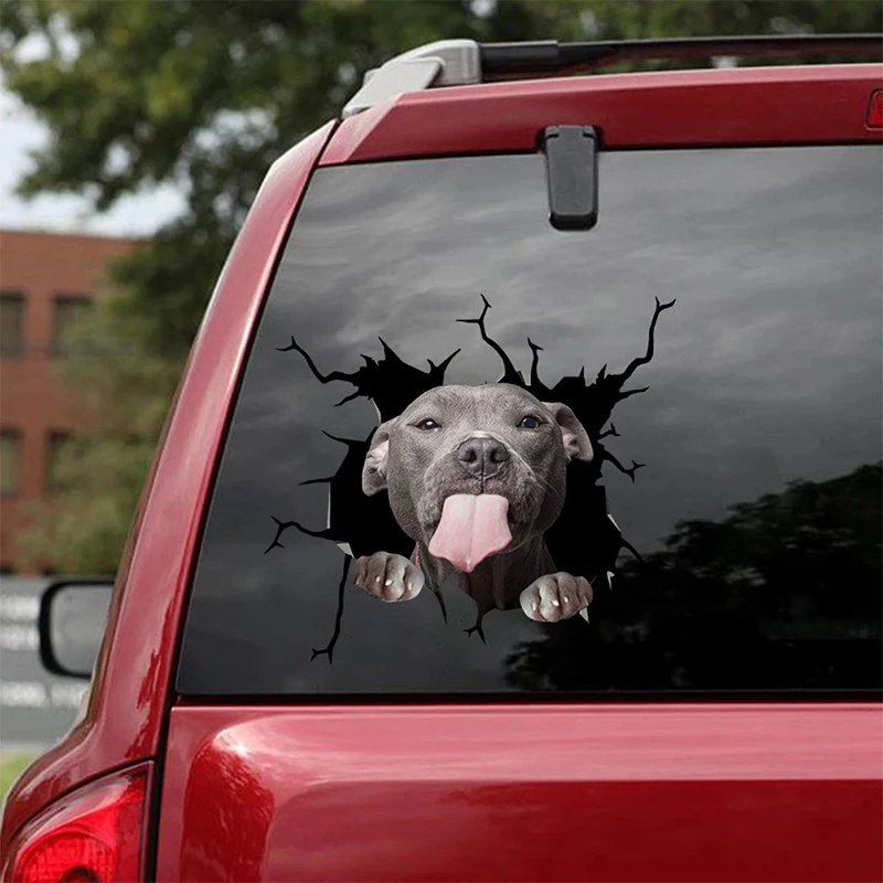 

Pig Crack Car Sticker Dog Animals Pet Funny Puppy Lover Decorations Decoration