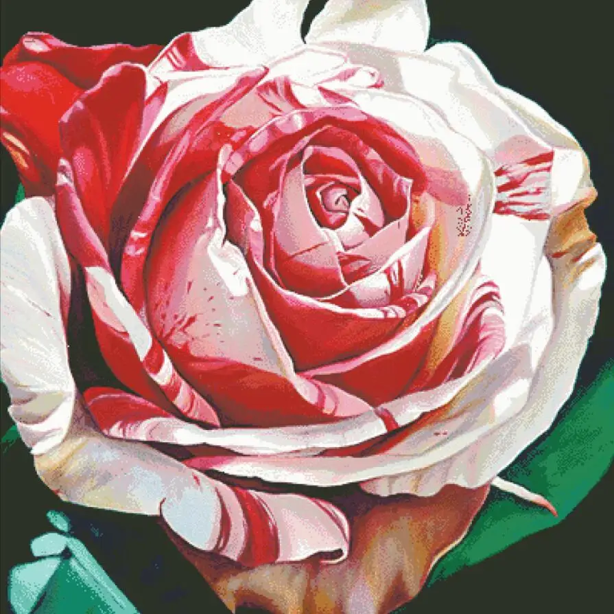 Hildas Rose вышивка крестиком посылка большой цветок 18ct 14ct 11ct ткань хлопчатобумажная