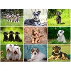 Yumeart алмазов картина по номерам, шнауцер, алмазная вышивка собаки картину стразы камни в форме ромба дрель ромбовидный узор домашний декор