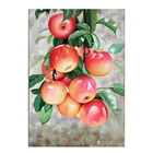 Полноразмернаякруглая алмазная живопись своими руками, свежие яблоки, 5d алмазная вышивка, фрукты, вышивка крестиком, домашний декор