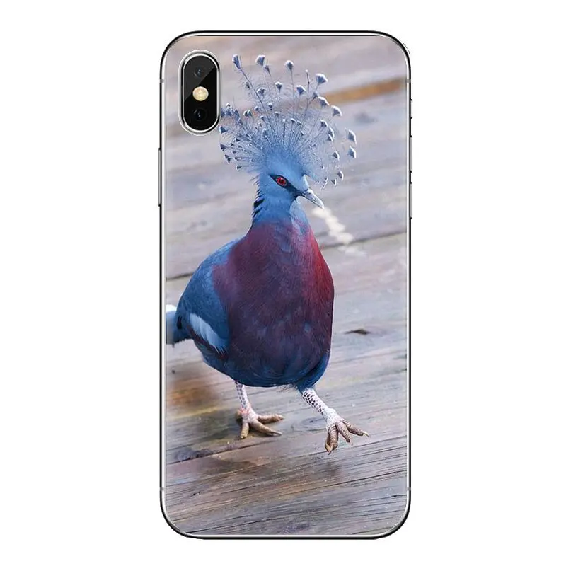 For Samsung Galaxy S3 S4 S5 Mini S6 S7 Edge S8 S9 S10 Plus Note 3 4 5 8 9 Pastel Pigeon Free beautiful bird Silicone Phone Cover |