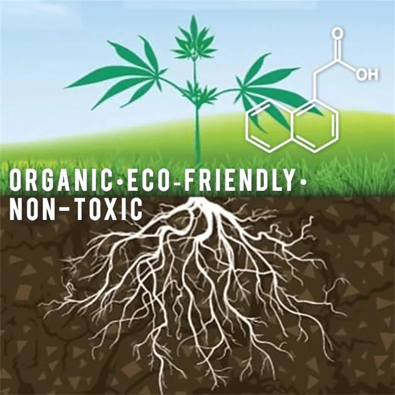 Порошок для укоренения находящиеся в данной туши увеличат объем ваших растений