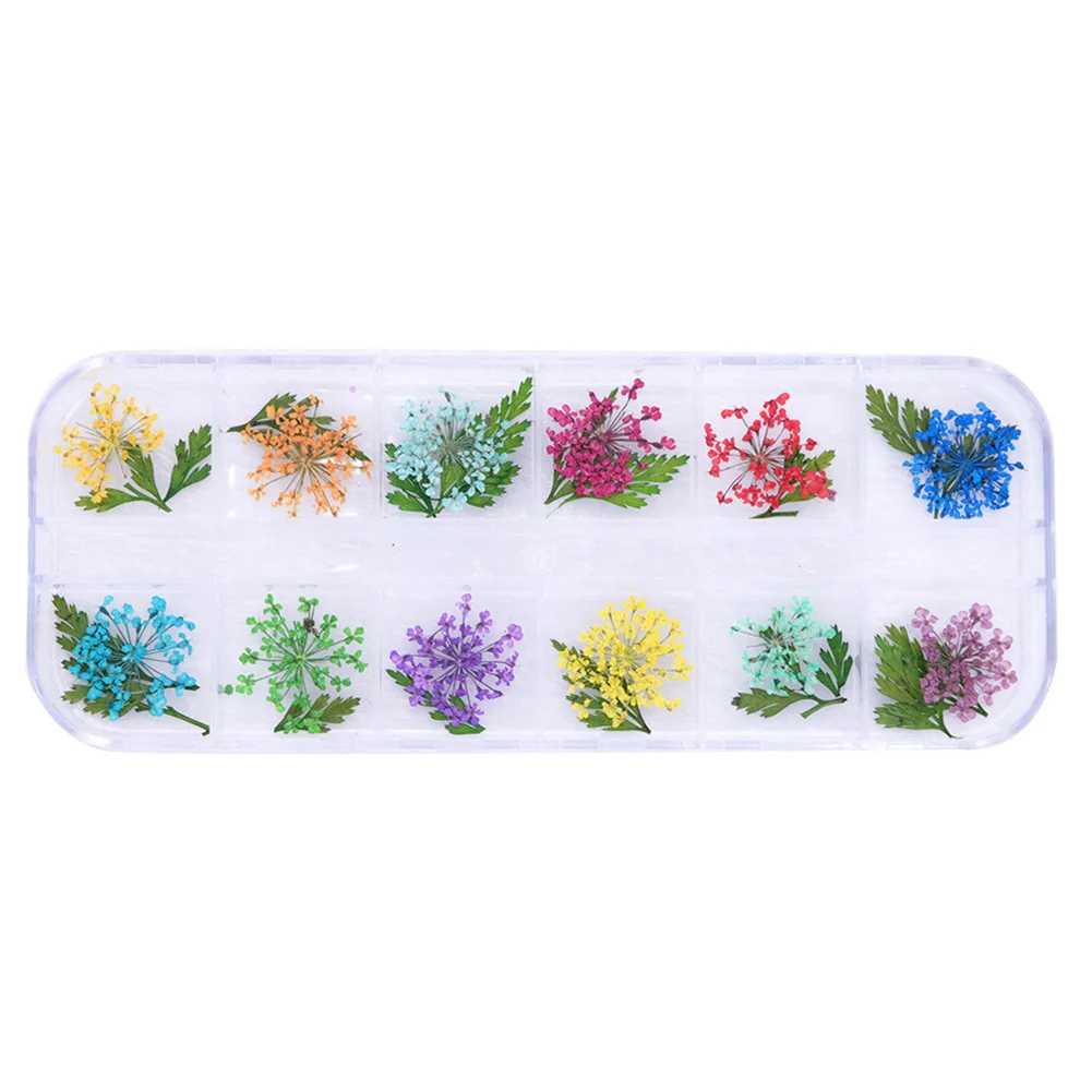 12 Клетки сушеный цветок лист декор для ногтей смешанные цвета дизайн наконечники