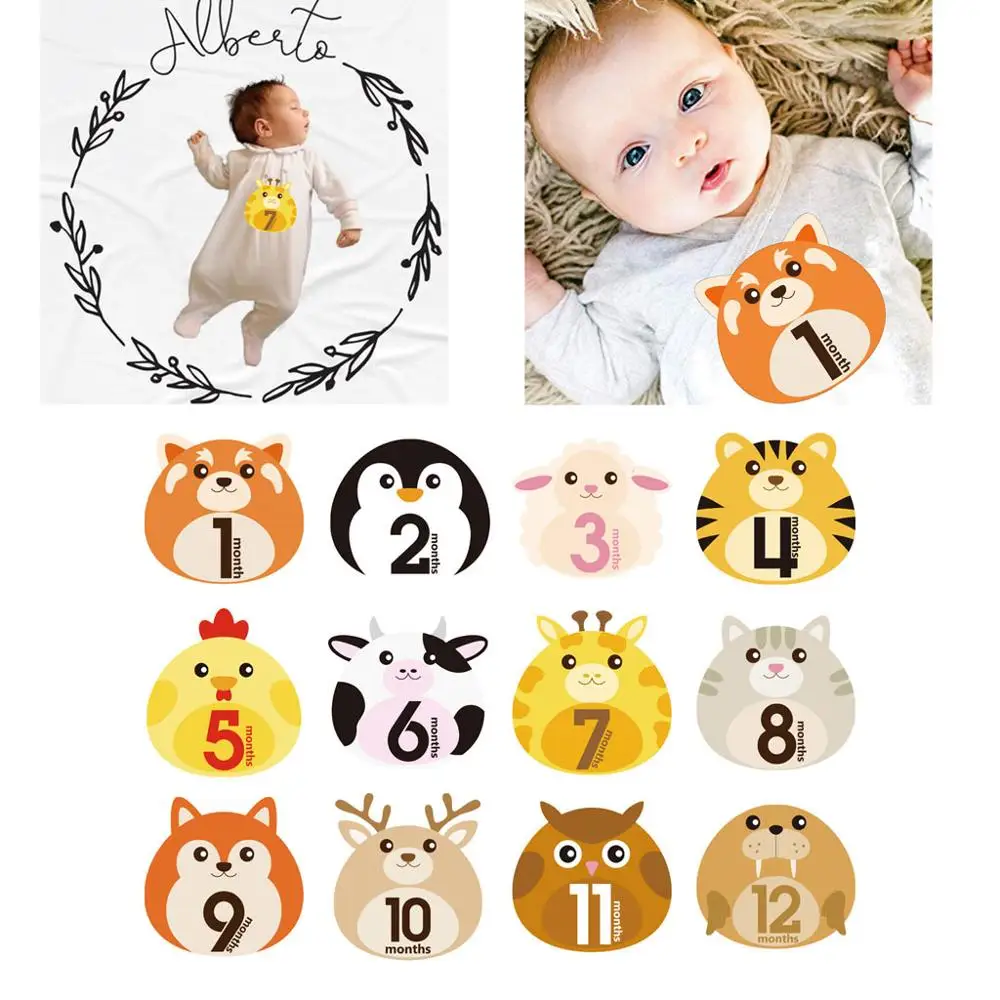 Pegatinas de animales para compartir fotos de beb&eacute;, primer a&ntilde;o mensual, 1 a 12 meses, 12 Uds.-4