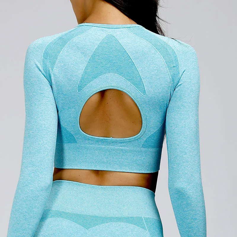 Бесшовные рубашки для йоги укороченный топ с длинным рукавом женщин Йога спорт