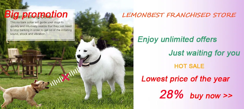 Lemonbest 1 шт. нержавеющая сталь круглая Сфера дозатор корма подвесная игрушка шар морская свинка, хомяк, крыса, кролик, товары для домашних животных