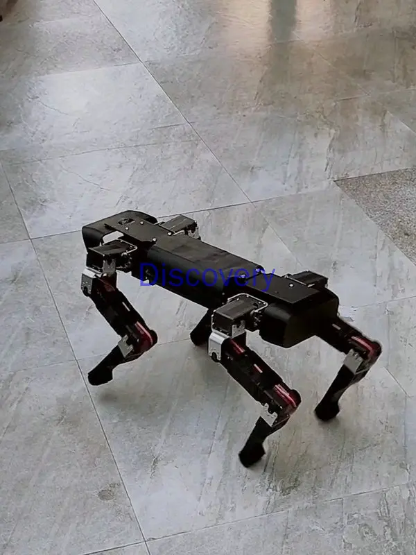 Четвероногий робот с открытым исходным кодом Механическая Собака 12 DOF Raspberry Pi Python
