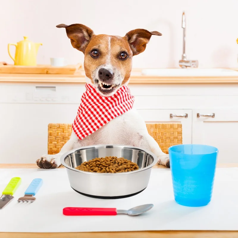 

Миска для собак из нержавеющей стали, нескользящая, сухой корм для животных, поилка для питьевой воды