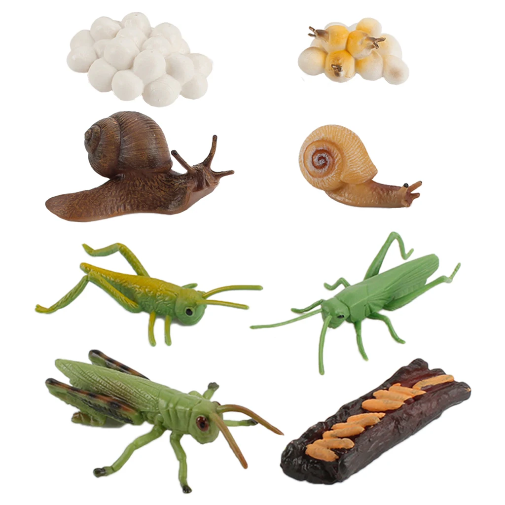 

Insect Growth Figure Model Playset Kids Child Biology Toys Themed Party