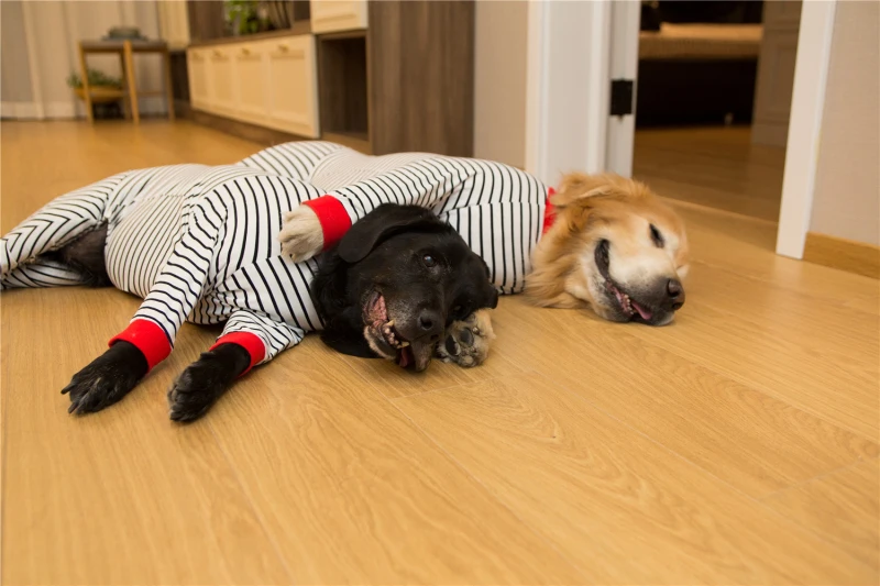 

Large Dog Pajamas Stretch Big Dog Clothes Jumpsuit Pyjama Samoyed Husky Labrador Golden Retriever Clothing Sleepwear Costume