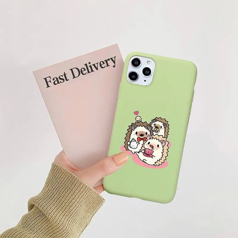 

Animal lovely cartoon hedgehog Phone Case Candy Color for iPhone 11 12 mini pro XS MAX 8 7 6 6S Plus X SE 2020 XR