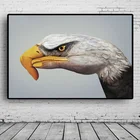 Рисование зебры, попугая на ручной росписи, настенный художественный печатный плакат, украшение для дома, гостиной, спальни