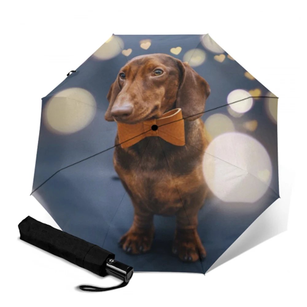 Зонт складной женский Автоматический с 8 ребрами от солнца и дождя|Зонтики| |