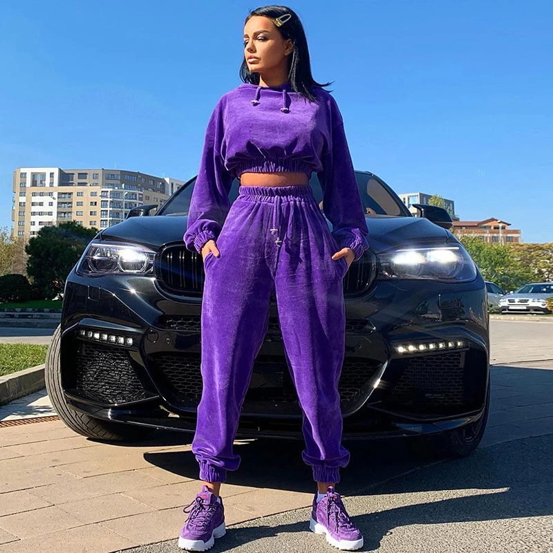 Sweatsuit Tracksuit Solid Velvet Hooded Women Two Piece Set Crop Top and Harem Pants Casual Jogger Autumn Sexy Sportswear TZ04 |
