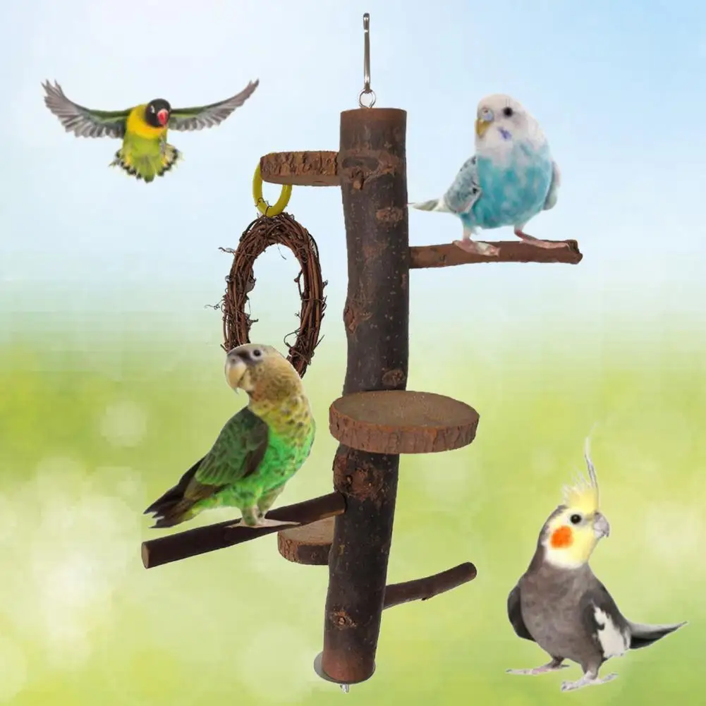

Smooth Surface Delicate Craft Wooden Parrot Perch Toy for Pet Owner
