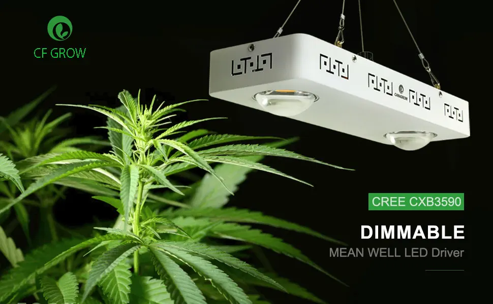 CREE CXB3590 200W 400W COB светодиодный свет для выращивания всего спектра 48000LM = HPS 600W лампа для выращивания домашняя игровая палатка Гидропоника роста растений