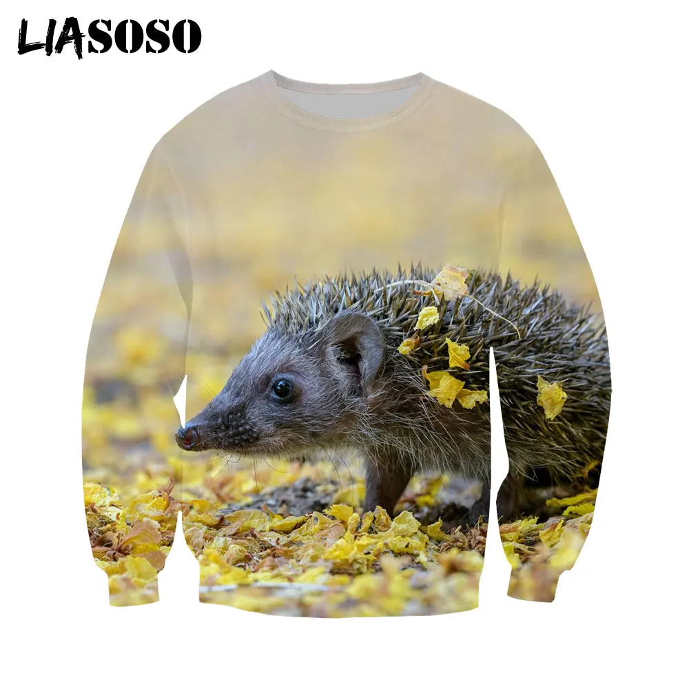 

LIASOSO 3D Print Animal Hedgehog Cool Hoodie Men Women Casual Long Sleeve Sweatshirt Harajuku Pullover Autumn SweaterWinter Tops