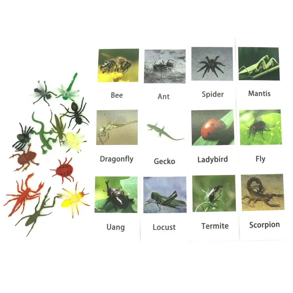 Монтессори животные математическая карта английские слова деревянная для детей