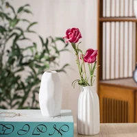 modern simple white hemp rope ceramic vase dry flower arrangement technology living room interior decoration