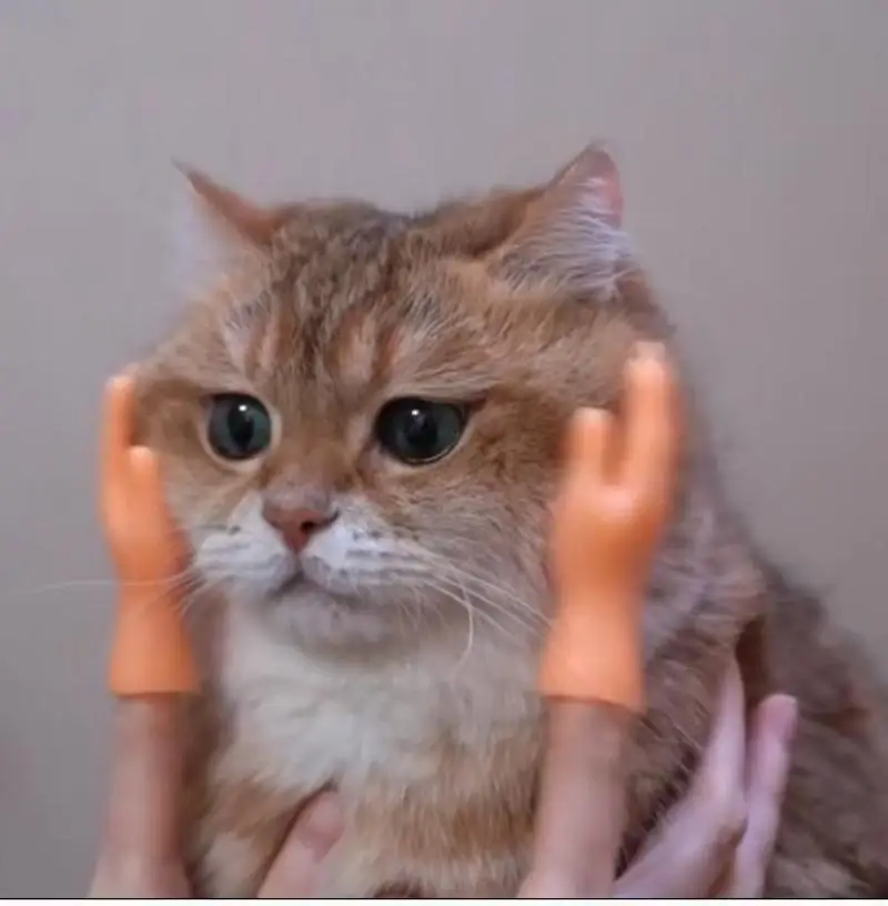 

2PCs Funny Little Mini Finger Silicone Gloves Cat Massage Tool Left Right Hand Model Tiny Hands Cat Toy Finger Gloves Cat Toys