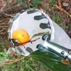 Телескопический шест из нержавеющей стали для сбора фруктов, 1,5 м