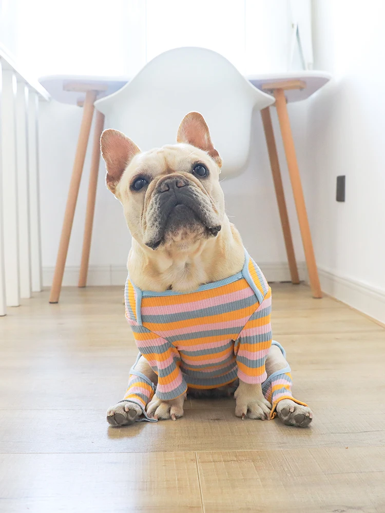 Нижнее пальто для домашних животных сезон осень зима цвет радуги в полоску