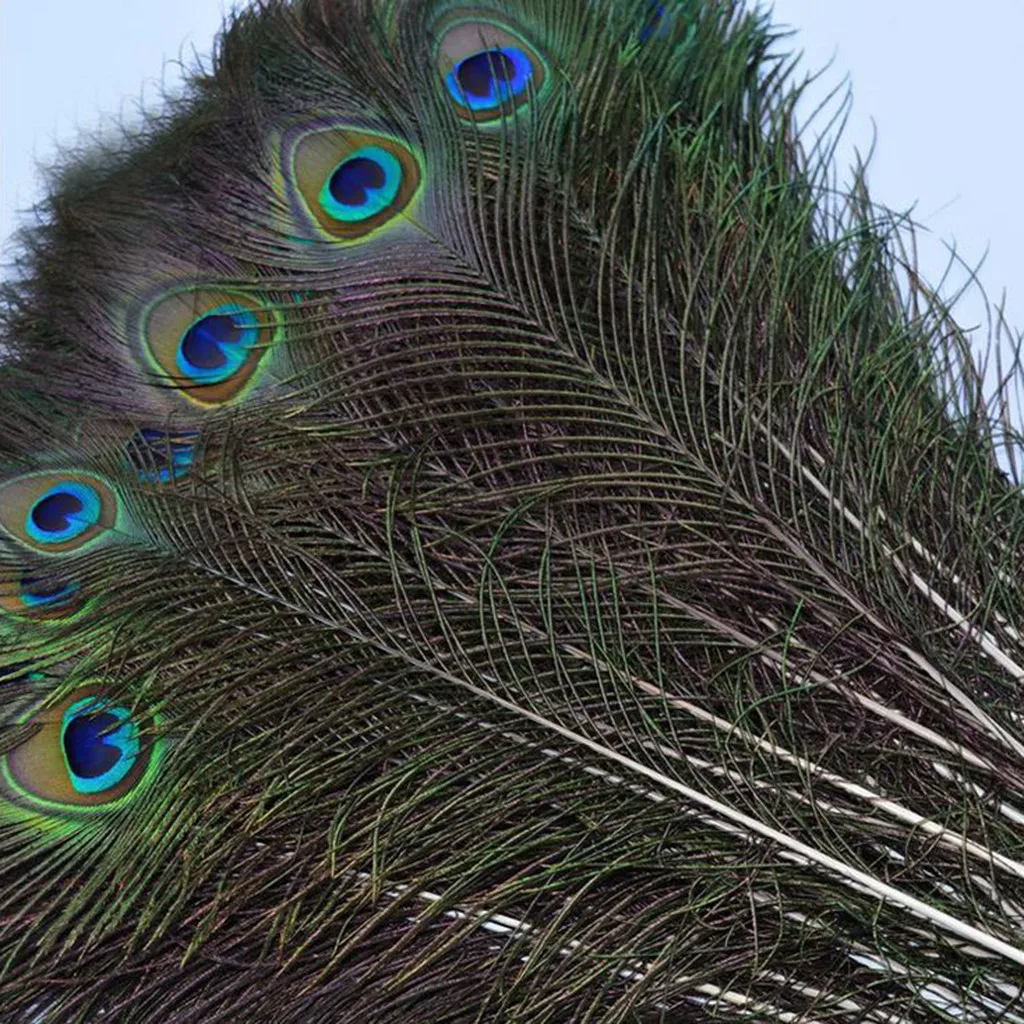 Букет цветов хвост Eye перья украшения дома 10 шт. натуральный павлиний глаз