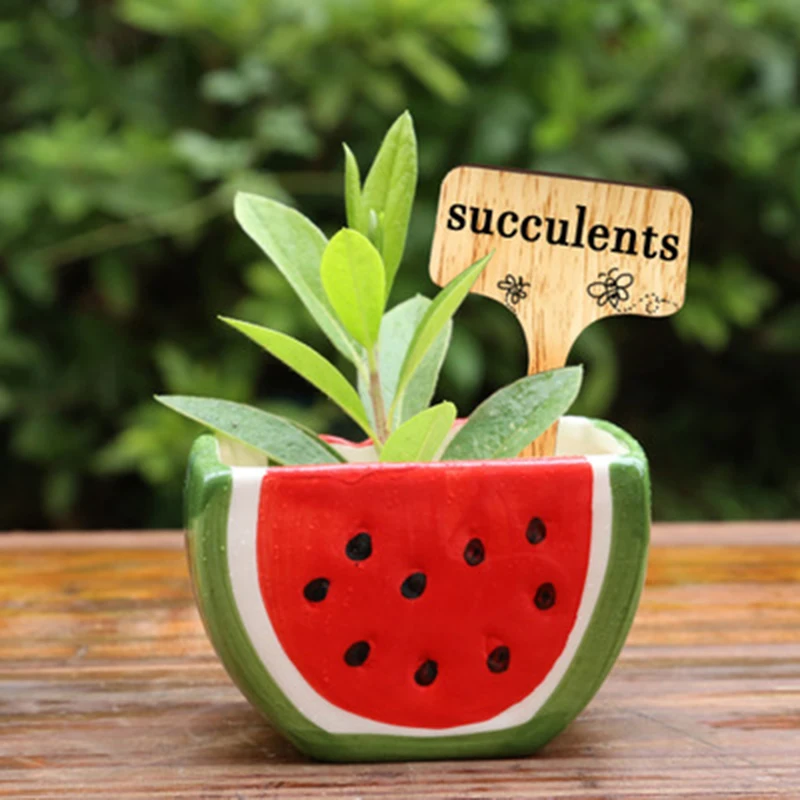 50/100 шт. DIY бамбук ярлыки для растений с деревянные искусственные бриллианты