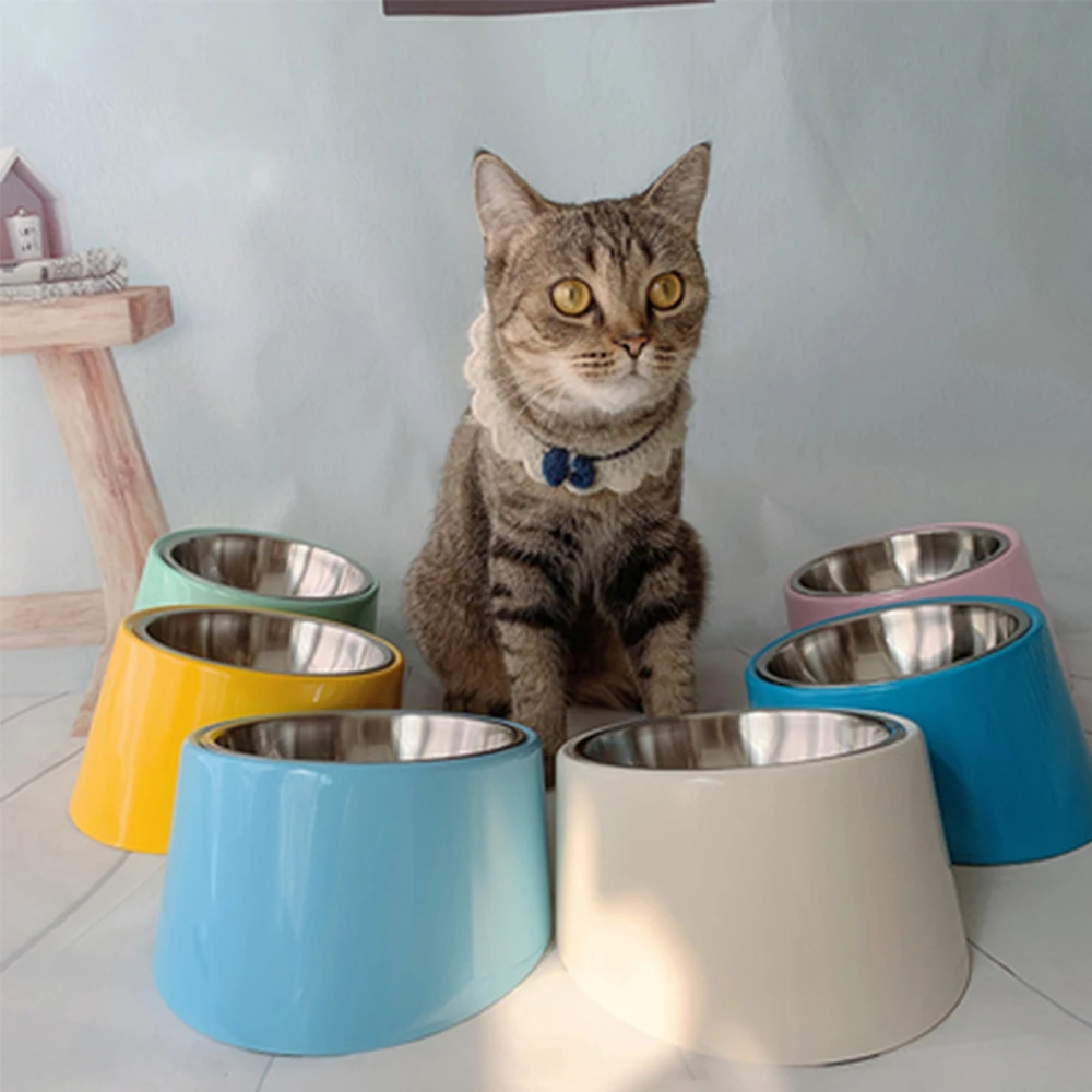

Personalized Dog Cats Pet's Name Pet Bowls 15 Degree Slanted Bowl For Dogs And Cats Samoyed Feeder Drinking Bowls Pet Supplies