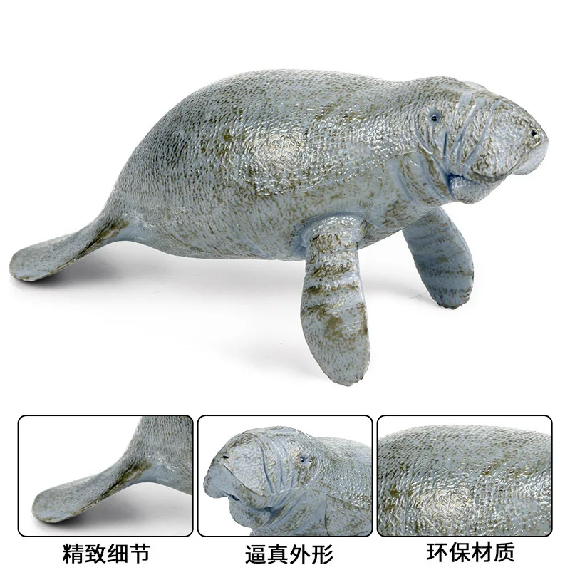 Экшн-фигурки животных Manatee коллекционные когнитивные игрушки из ПВХ |