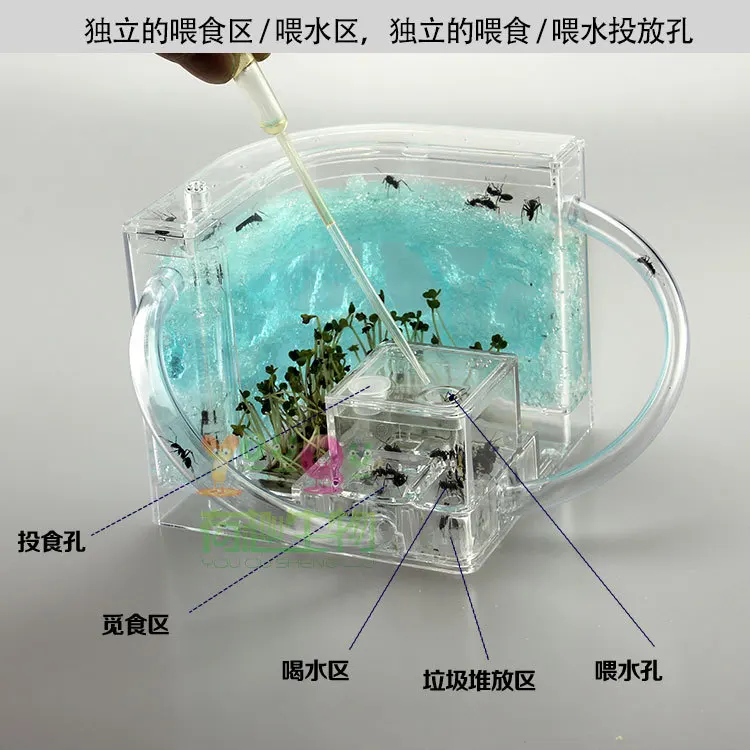 Муравьиная ферма акриловая тестовая трубка для насекомых большая влажность