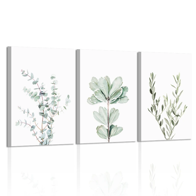 

Set of 3 Botanical Poster Prints Modern Plants Decoraiton Picture Nordic Canvas Painting Eucalyptus Wall Art Home Decor Design