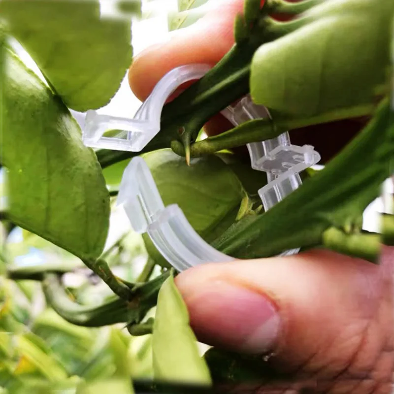 50/100 шт. многоразовые пластиковые зажимы для поддержки растений | Дом и сад