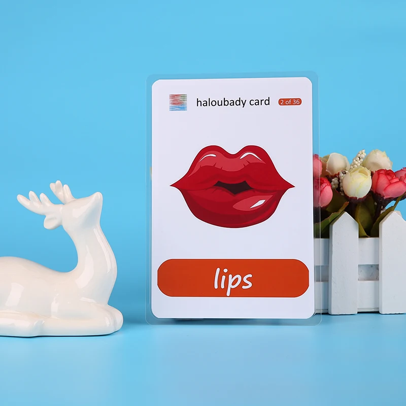 Карта английского языка для обучения 36 шт./упак. | Игрушки и хобби