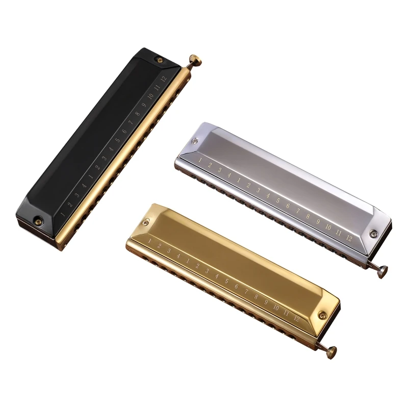 

2022 New Harmonica Key of C 16 Hole 48 Tone with Case for Professional Player Beginner Students, Excellent Gift for Music Fans