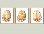 Неврология арт золото анатомический мозг и цветы плакат подробный анатомии мозга современные медицинские декор, подарок-Gi