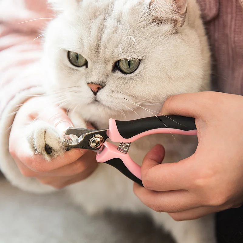 Hipidog щенок собачья из нержавеющей стали Pet кусачки для ногтей уход за пальцами