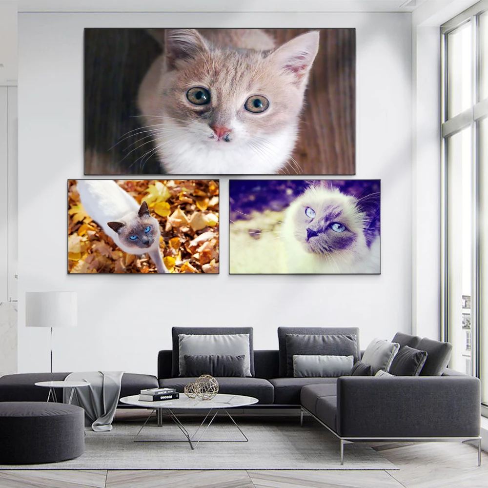 

Animal landscape oil painting cute kitten art oil painting living room corridor bar home decoration mural