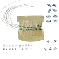 dental orthodontic material ceramic brackets model niti wires roth mbt tubes thermal activated bowls dentist equipment supply