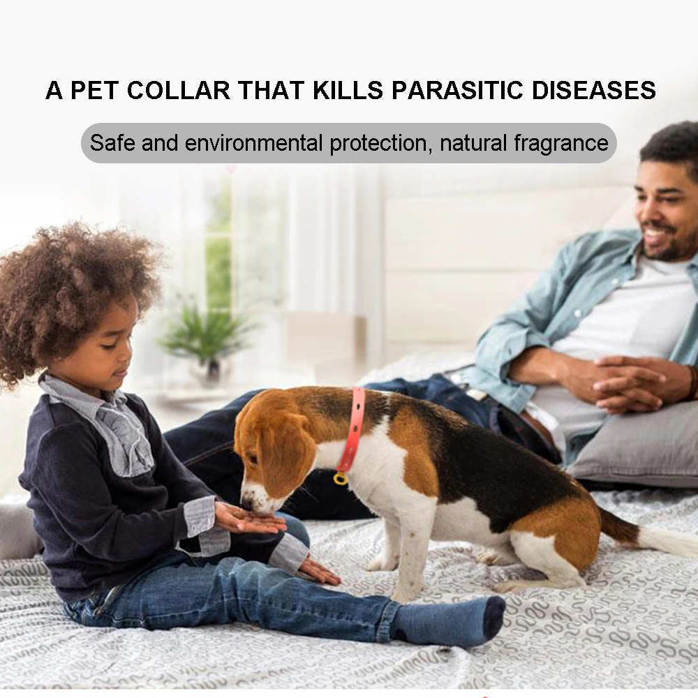 

Safety Dog Cat Outdoor Anti Flea Mite Tick Collar Neck Strap Adjustable Nylon Dogs Collars Effective Insecticide Kill Insect