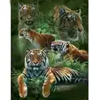 Алмазная живопись сделай сам, вышивка крестиком, мозаика, полная выкладка, квадратная, круглая, стразы, домашний декор, рукоделие, подарок