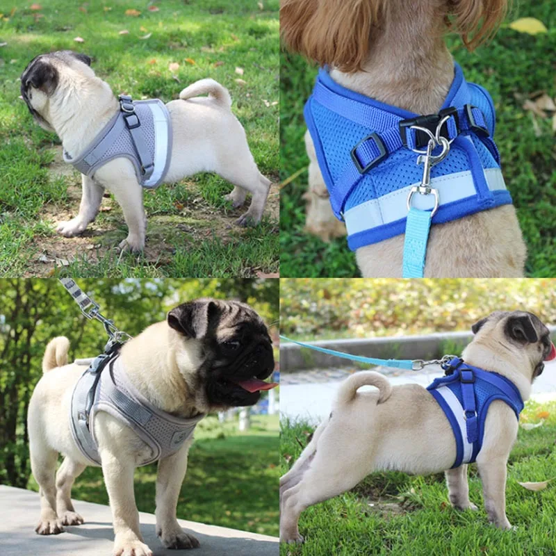 

Reflective Dog Cat Pet Vest Chest Strap Adjustable Breathable Chest Strap Small Medium Cat Dog Teddy Chest Strap Traction Rope