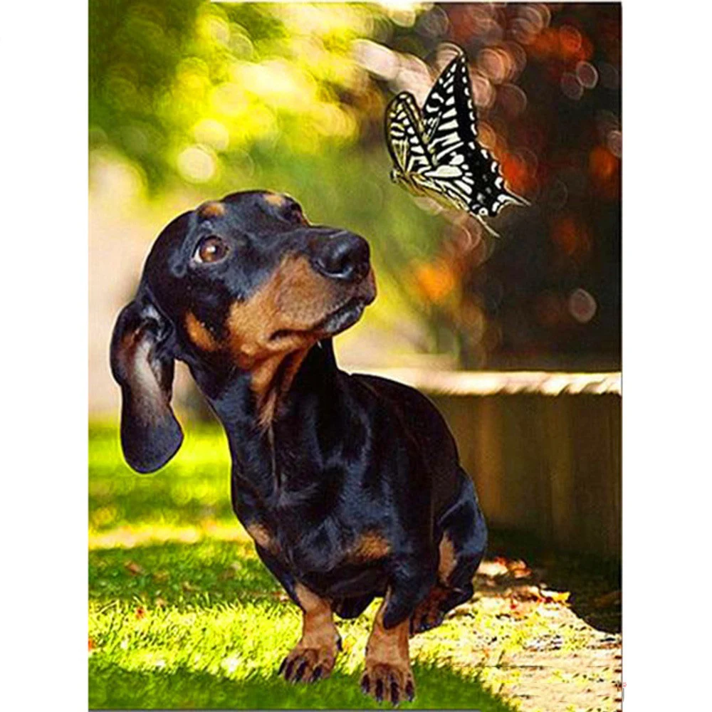 

Full Square/Round 5d Diamond Painting-Dachshund-3d Embroidery Cross Stitch Mosaic Full Picture Of Rhinestone Decor